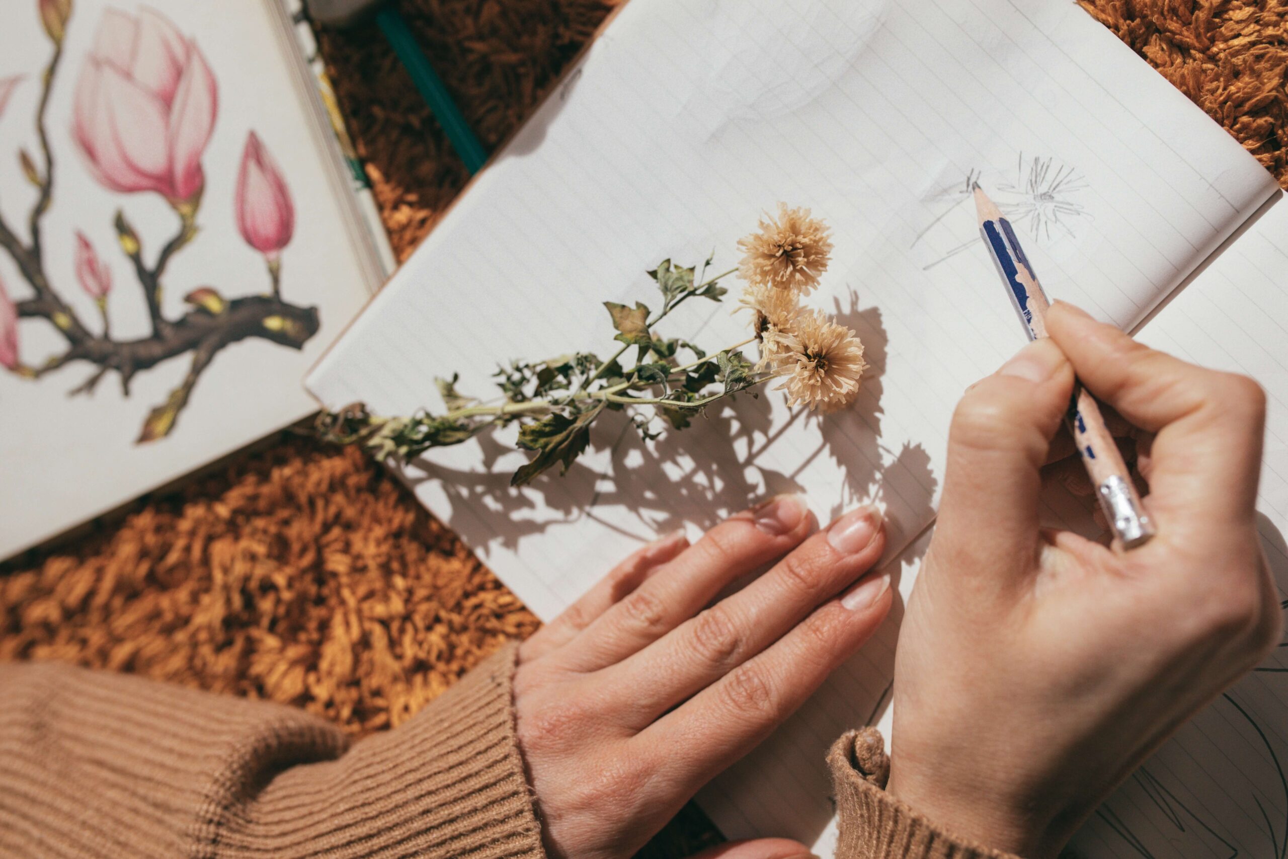 Drawing in the Garden – Botanical Still Life